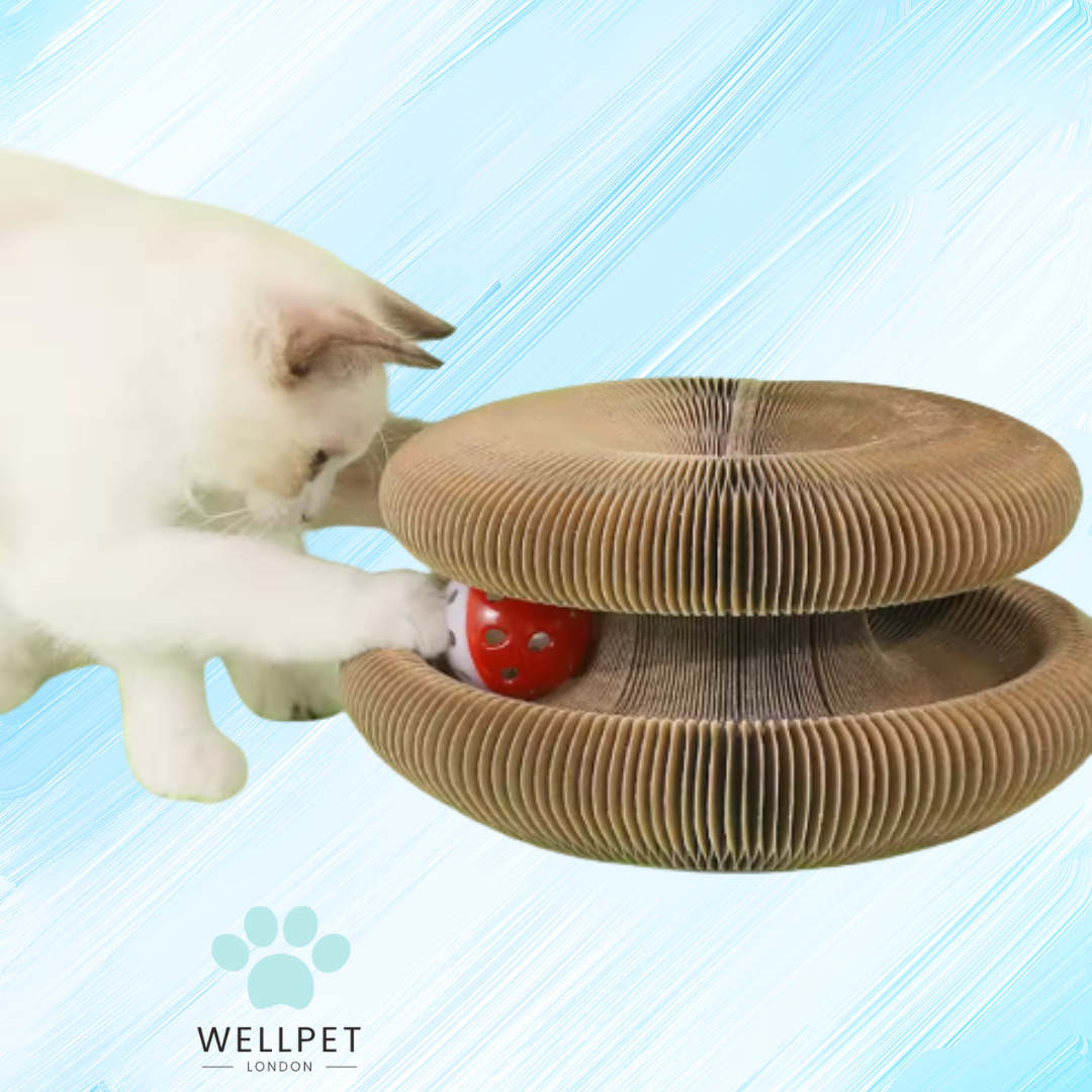 Enriching Interactive Scratcher