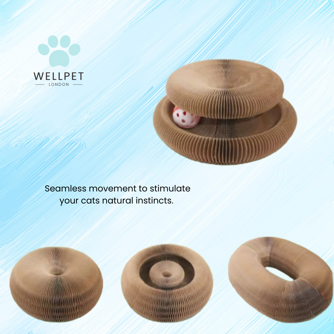 Enriching Interactive Scratcher