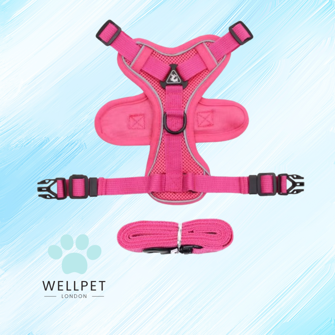 Cat Harness & Lead Set