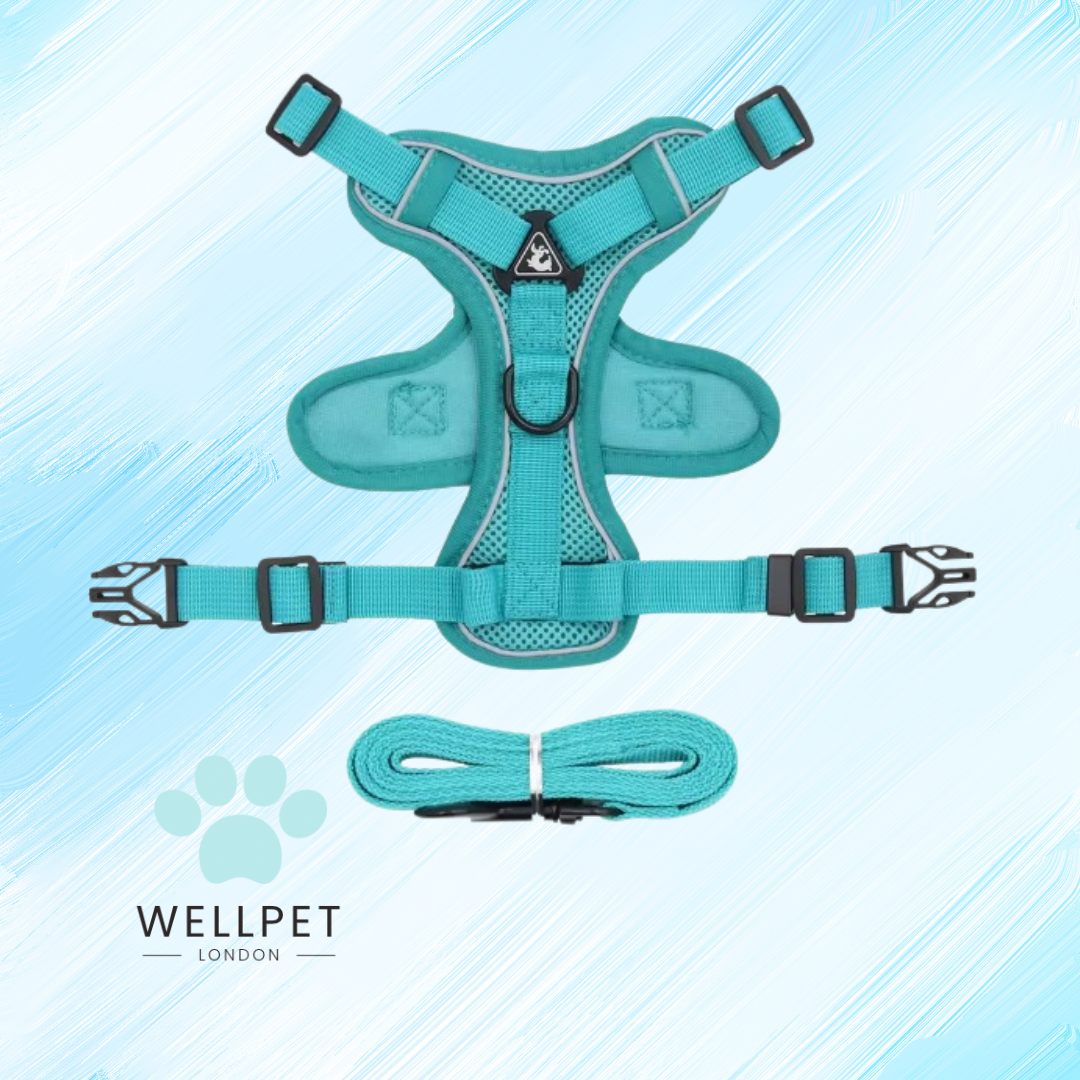 Cat Harness & Lead Set