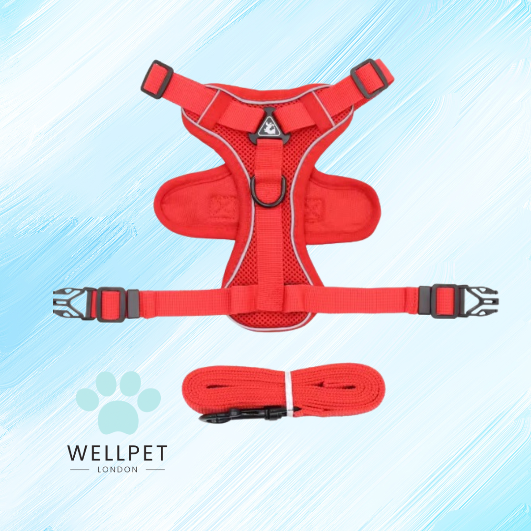 Cat Harness & Lead Set
