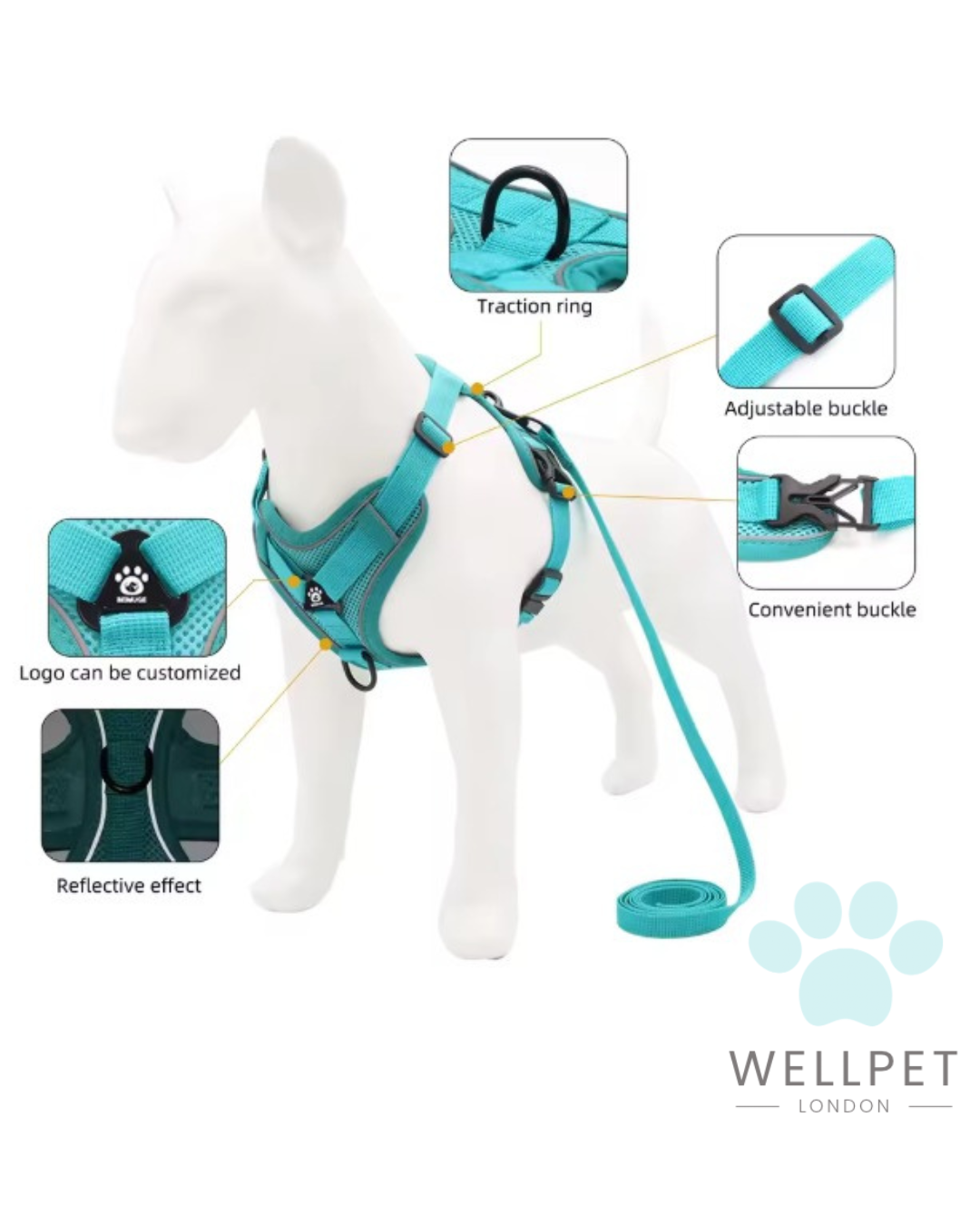 Cat Harness & Lead Set