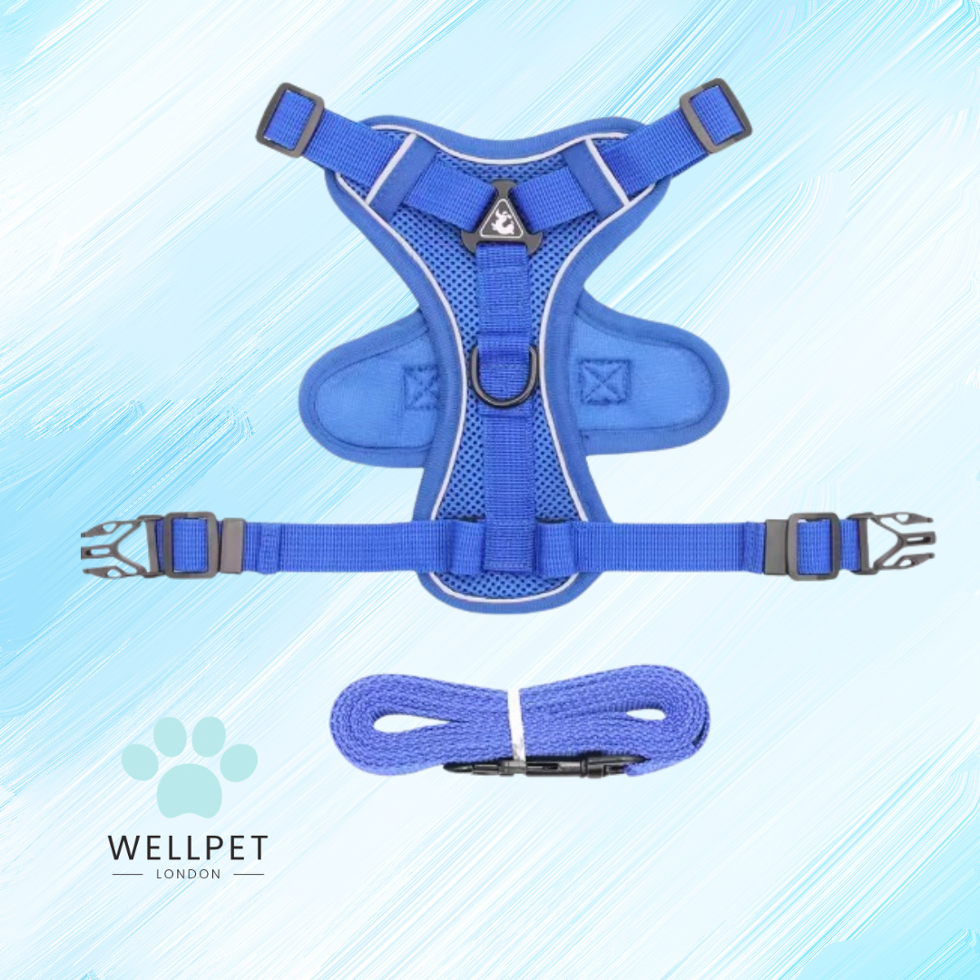 Cat Harness & Lead Set