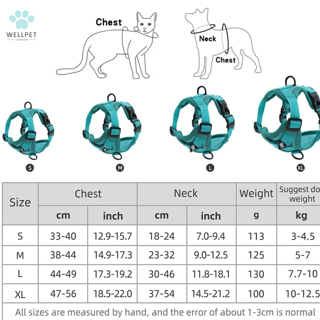 Cat Harness & Lead Set