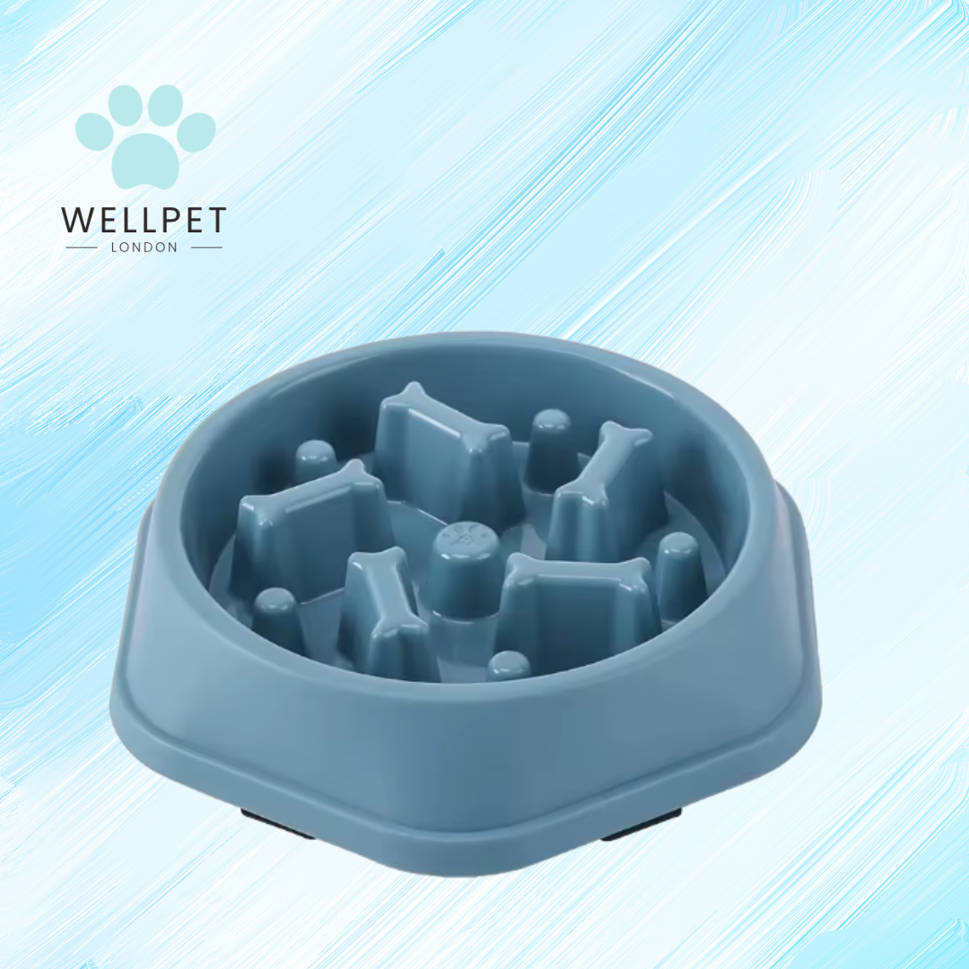 Dog Slow Feeder Bowl