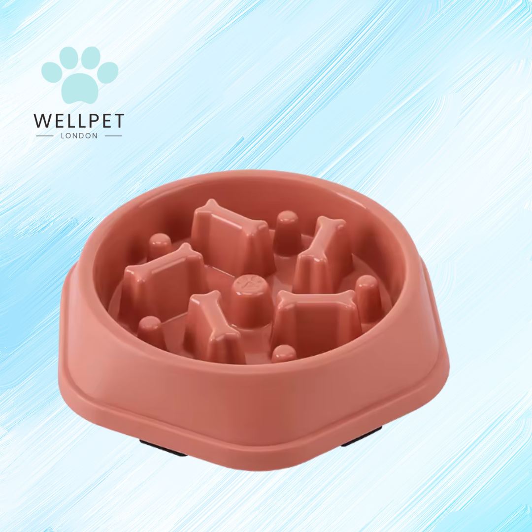 Dog Slow Feeder Bowl