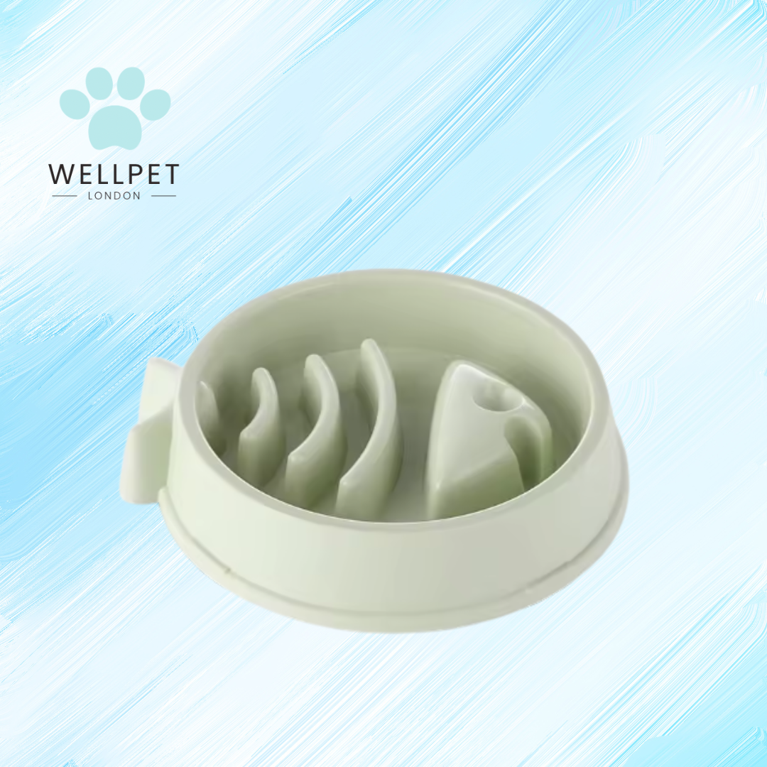 Cat Slow Feeder Bowl