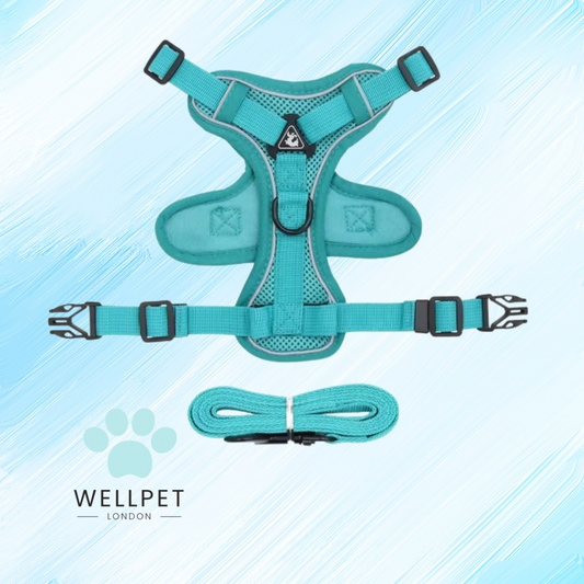 Cat Harness & Lead Set