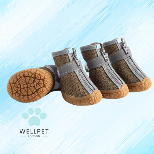 Hot Pavement Paw Protection Shoes