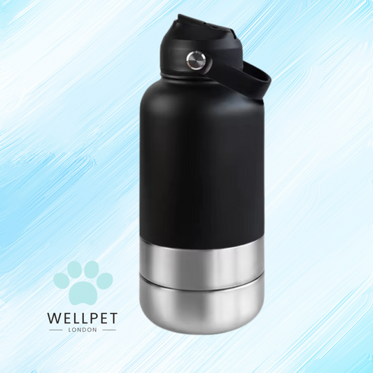3 In 1 Pet Water Bottle