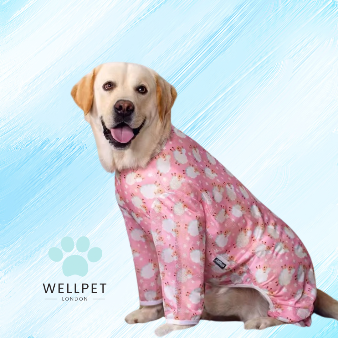 Large Calming Dog Pyjamas