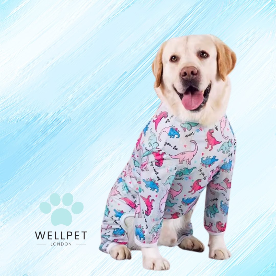 Large Calming Dog Pyjamas