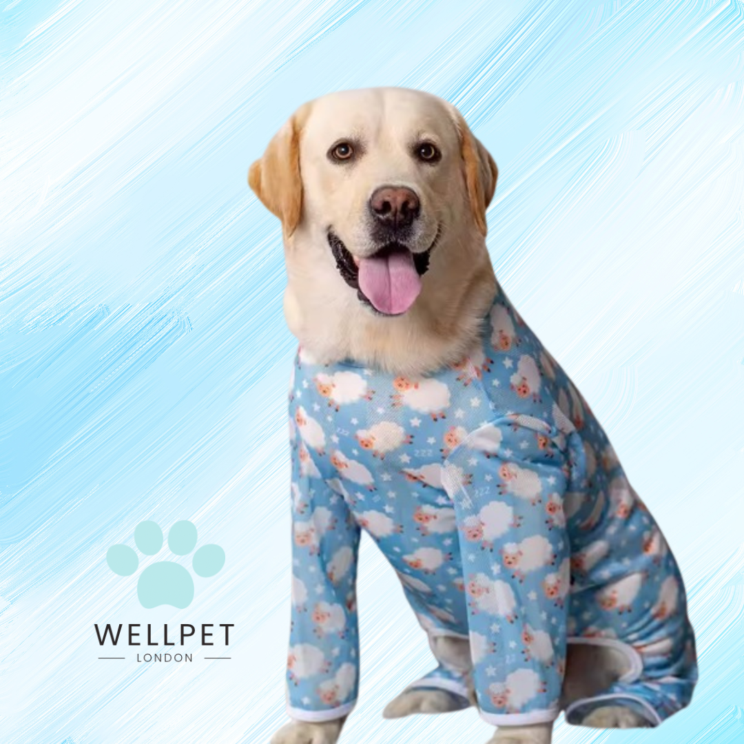 Large Calming Dog Pyjamas