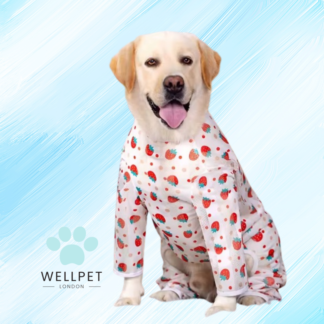 Large Calming Dog Pyjamas