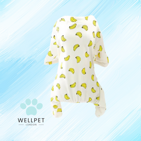 Small Calming Dog & Cat Pyjamas