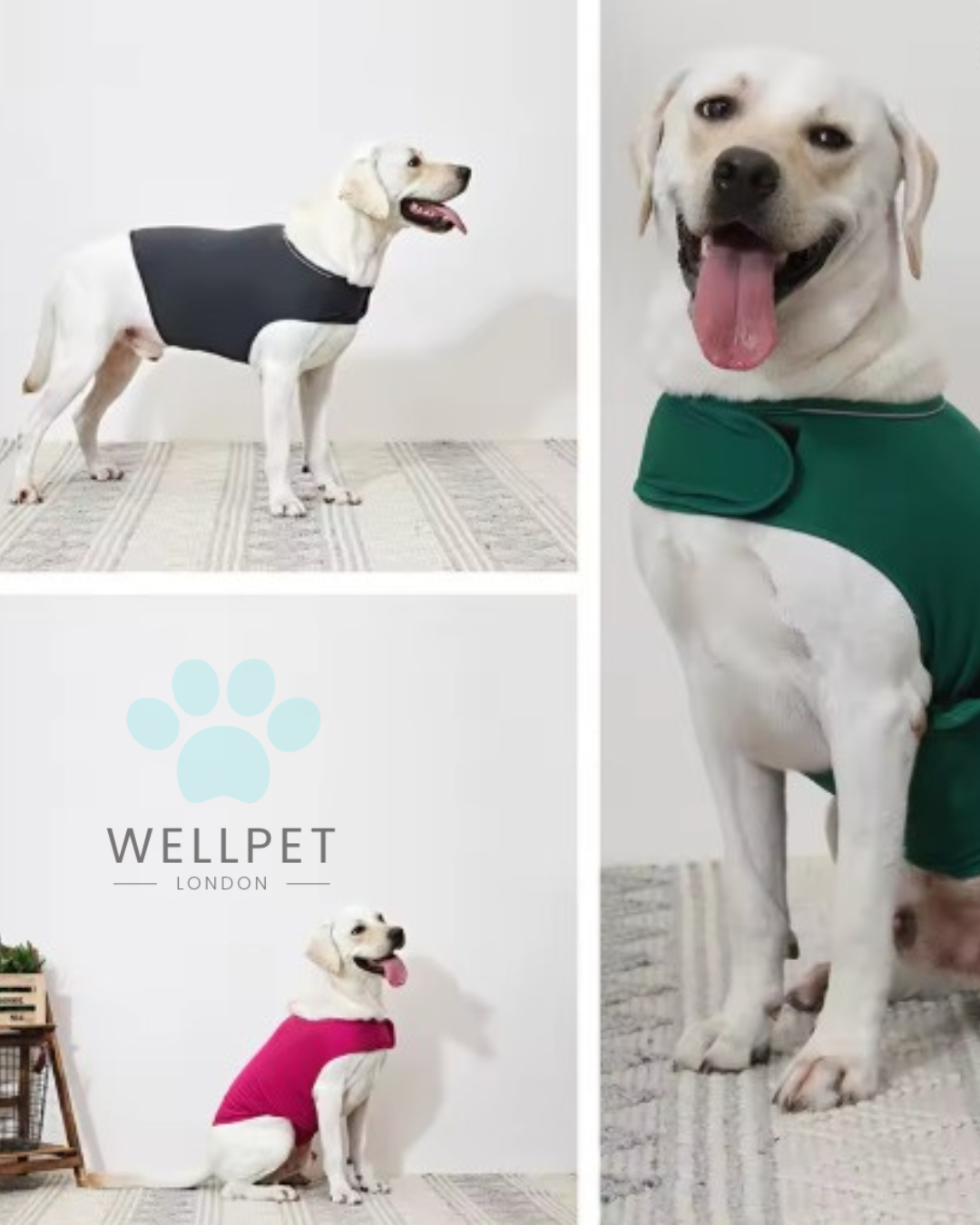 Dog Anti-Anxiety Vest