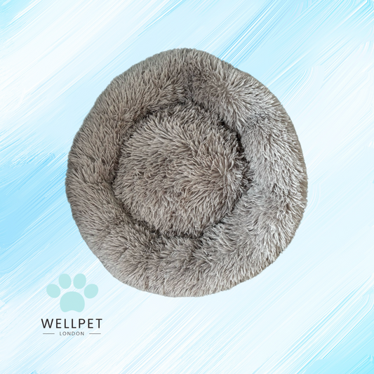 Calming Comfort Bed
