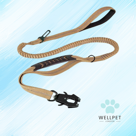 4 In 1 No Pull Dog Lead