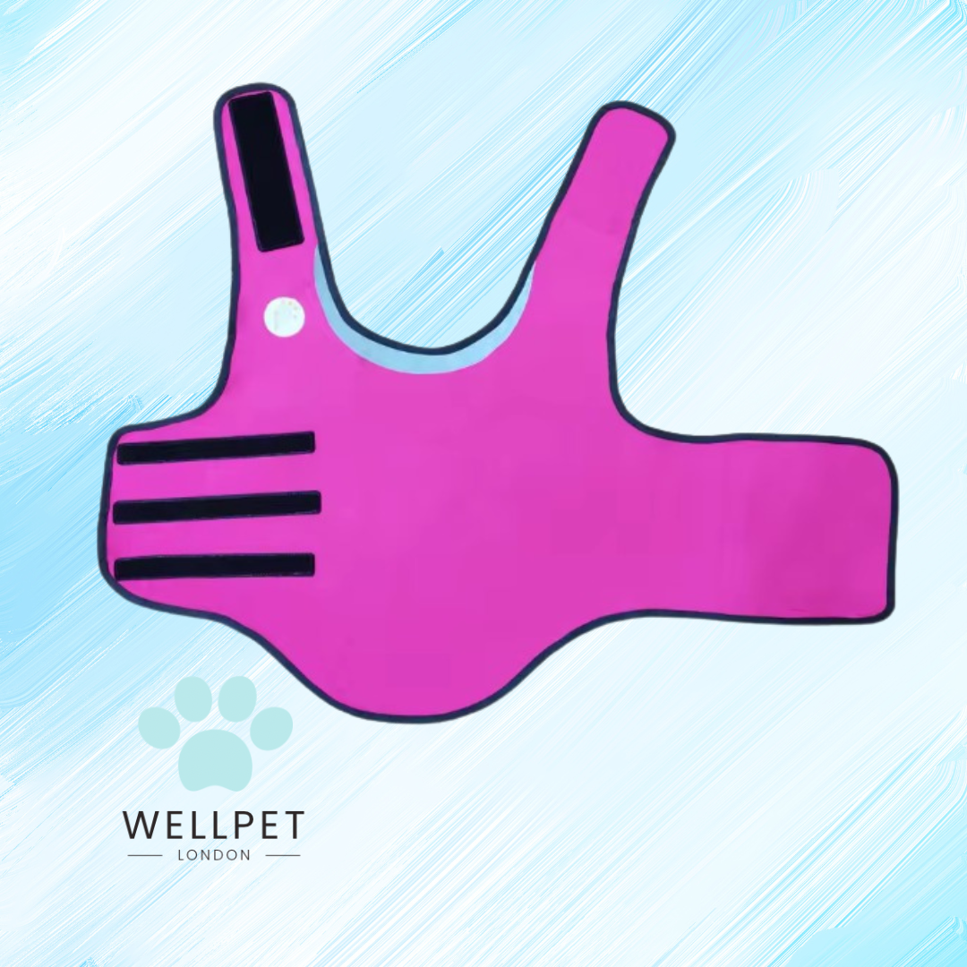 Dog Anti-Anxiety Vest