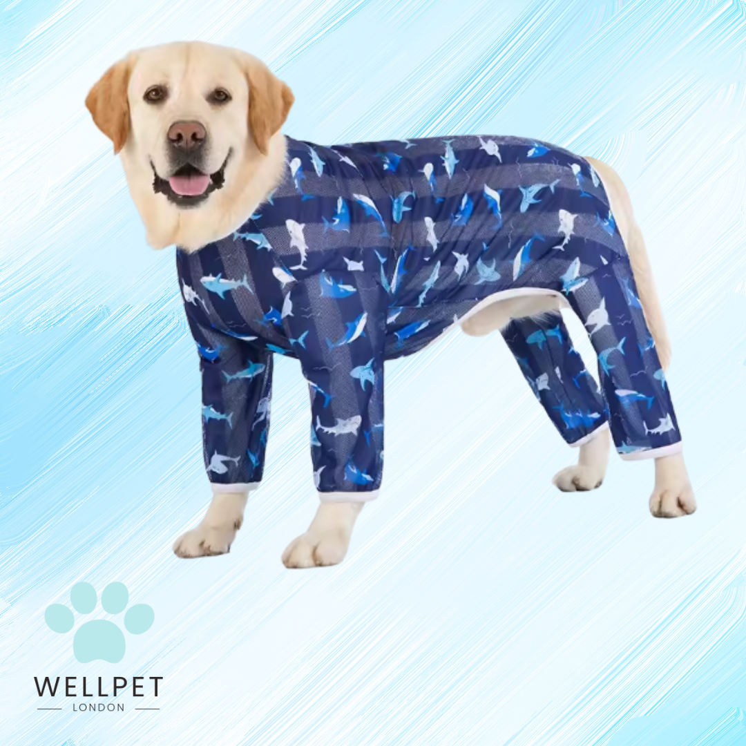 Large Calming Dog Pyjamas