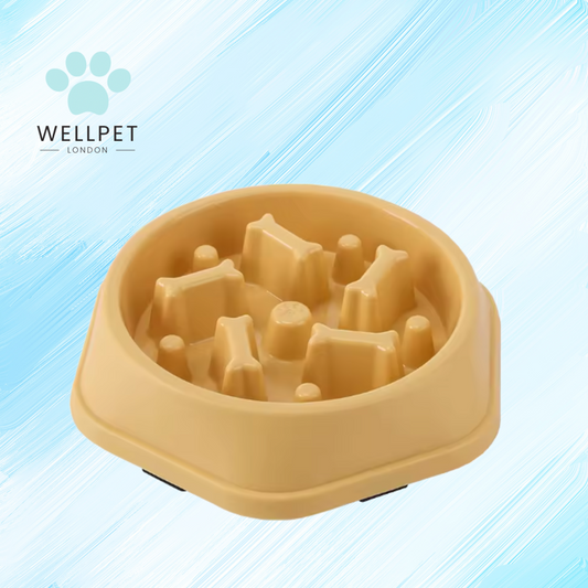 Dog Slow Feeder Bowl