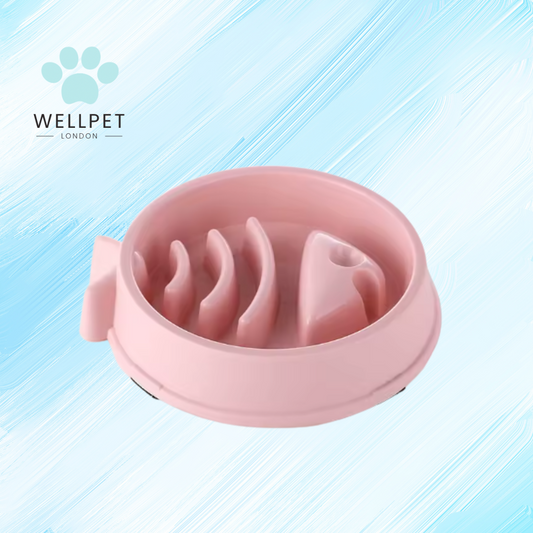 Cat Slow Feeder Bowl